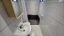 Dunearn Road (D11), Condominium #506017821